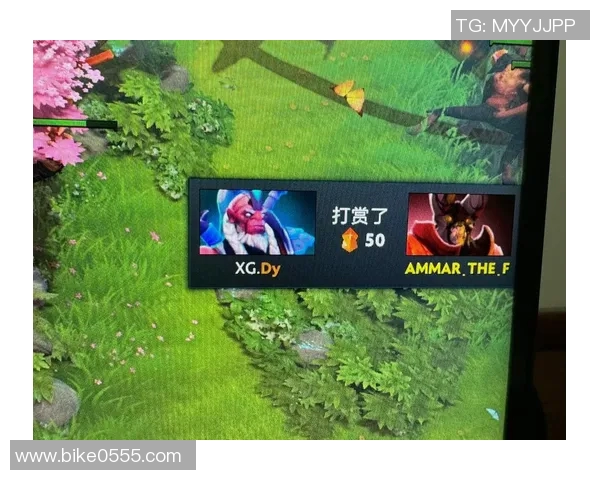 dota2比赛网址-探寻DOTA2比赛的精彩世界，比赛网址导航-dota2比赛网址